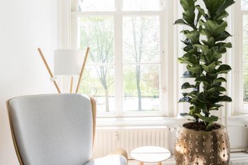 The Hague  Training room Schild van het Zuiden image 1