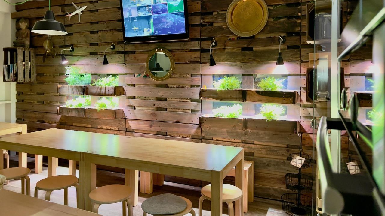 Hamburg  Kochstudio kitchen image 2