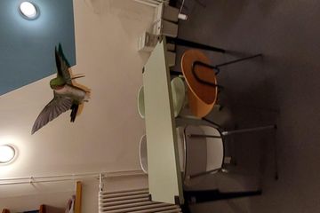 Chur Mobiles Arbeiten Coworking spaces Co-Working Space 7 Bogentrakt SENNHOF image 1