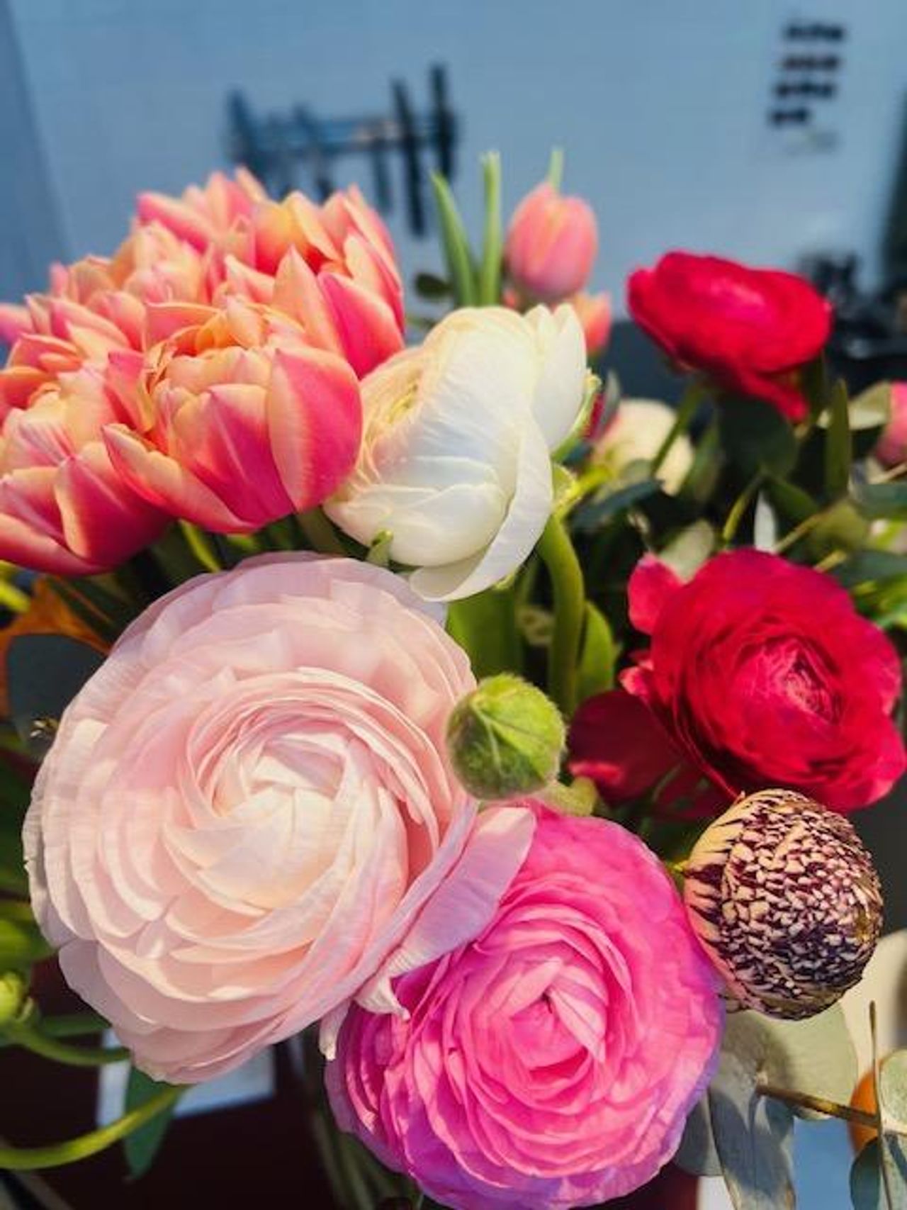 Berlin Mobiles Arbeiten Workshop-Raum SportsHub image 7