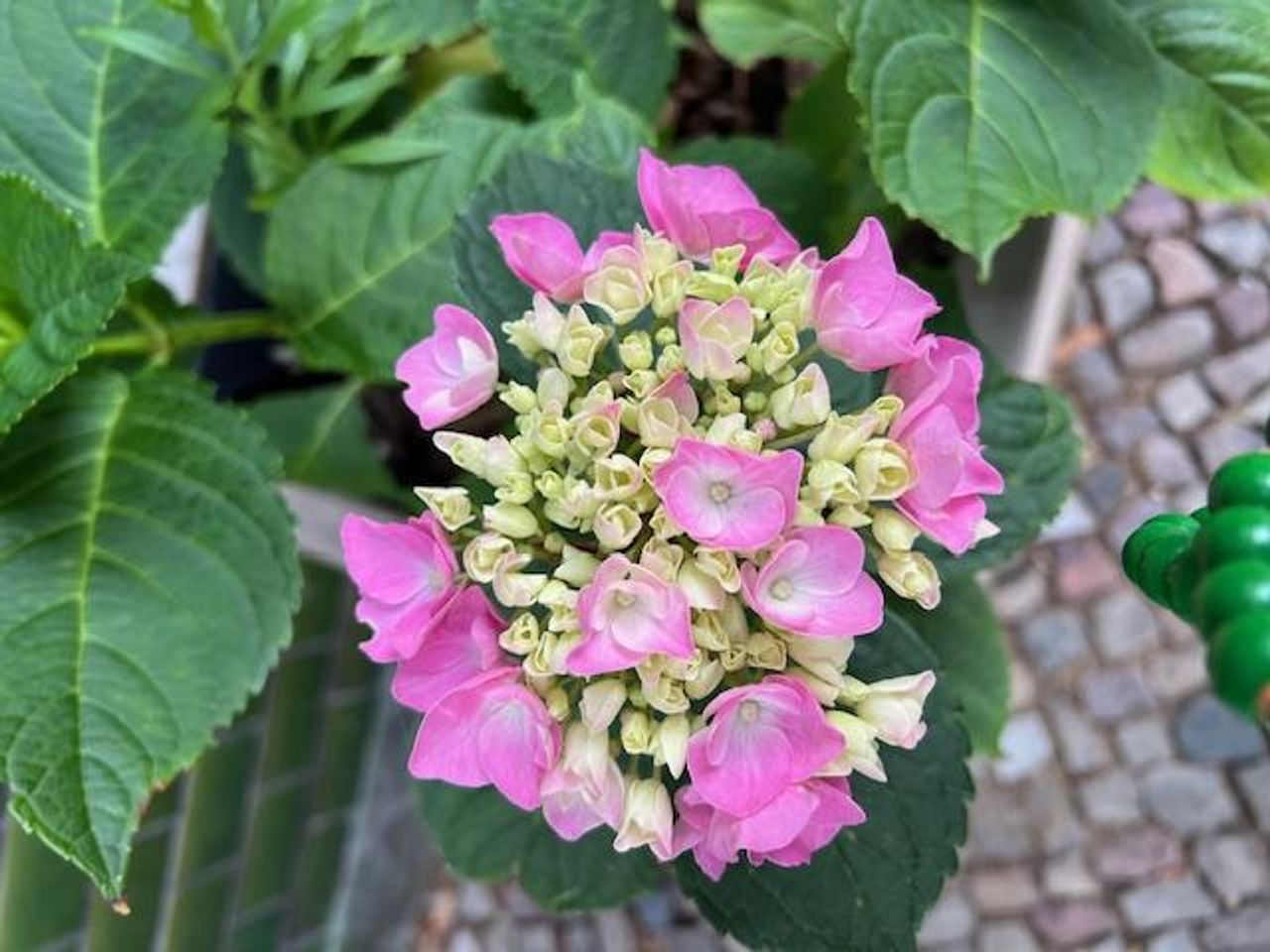 Berlin Mobiles Arbeiten Workshop-Raum SportsHub image 7