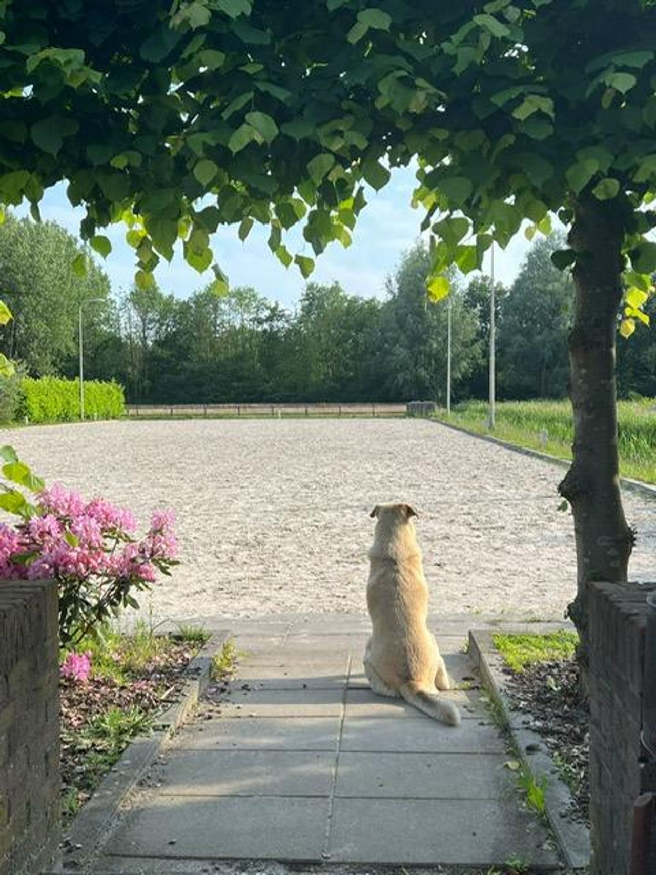 De Bilt  Meeting room Zorgboerderij De Hofstee image 0