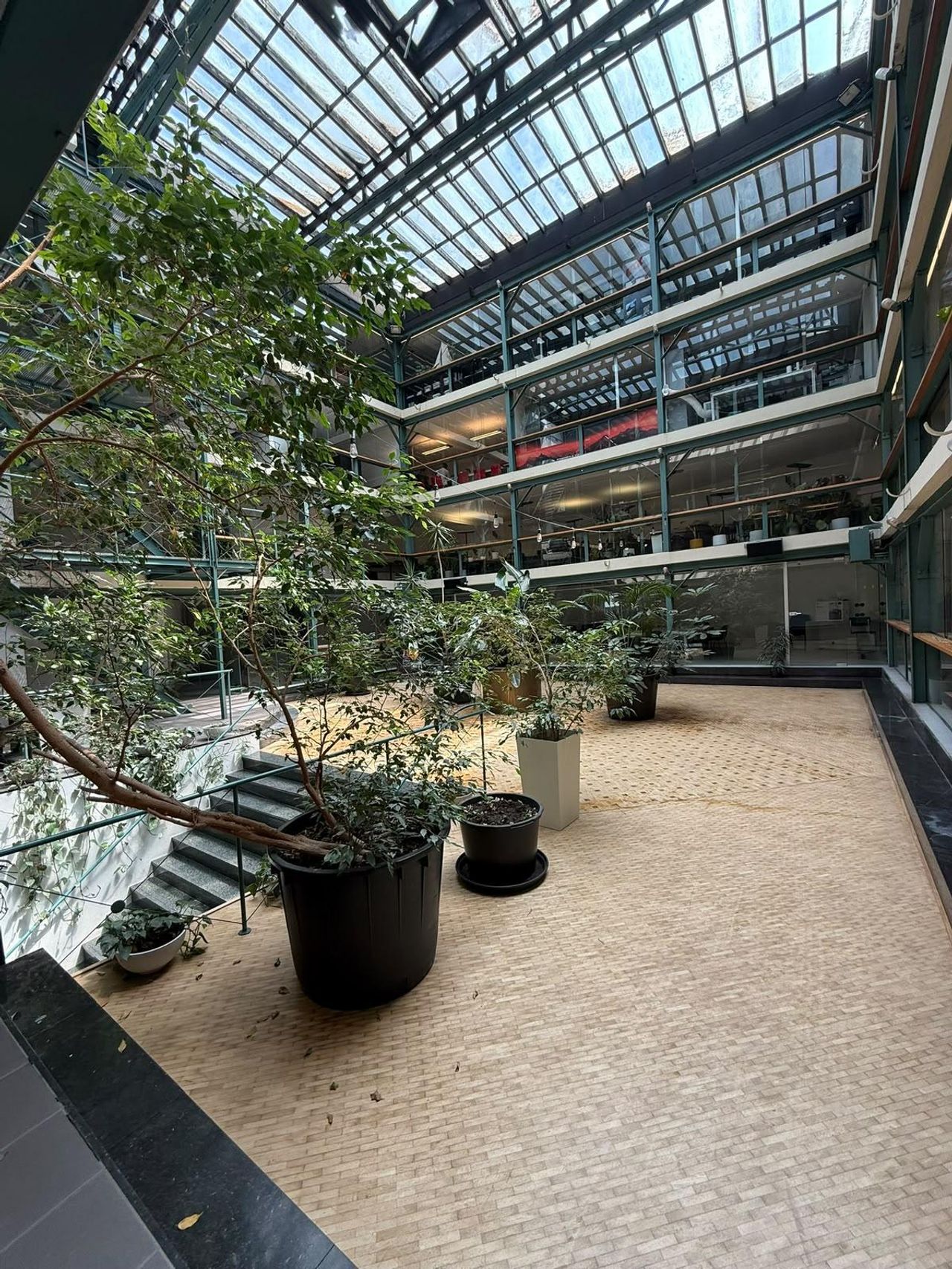 Rest der Welt  Büros auf Zeit The Botanic Atrium – Een unieke eventlocatie in het hart van Gent image 2