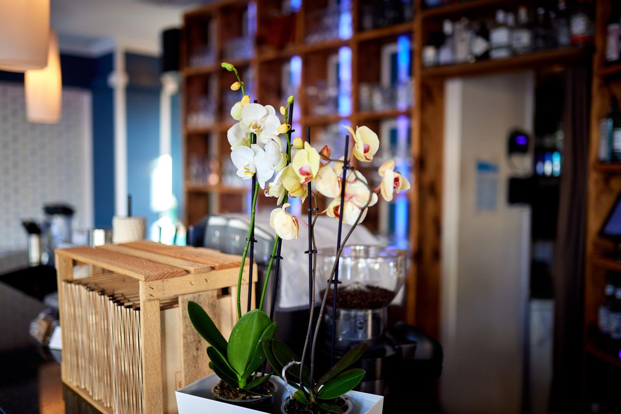 Mannheim Offsite Meeting Bar BAR2 Mannheim image 8