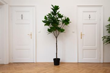 Vienna Meeting Room image 5