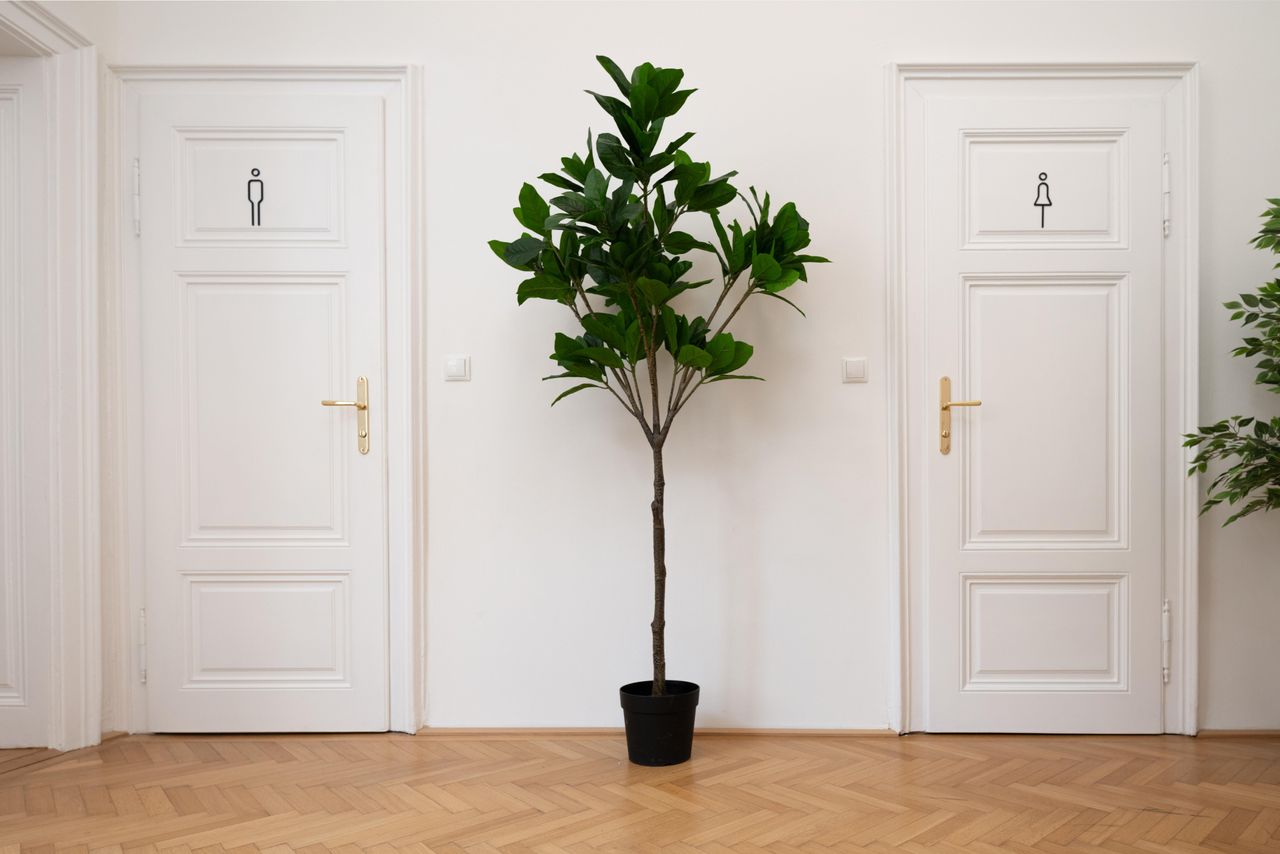 Vienna   Meeting Room image 5