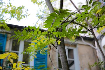 Paris training rooms Private residence Hidden Artist Loft image 8