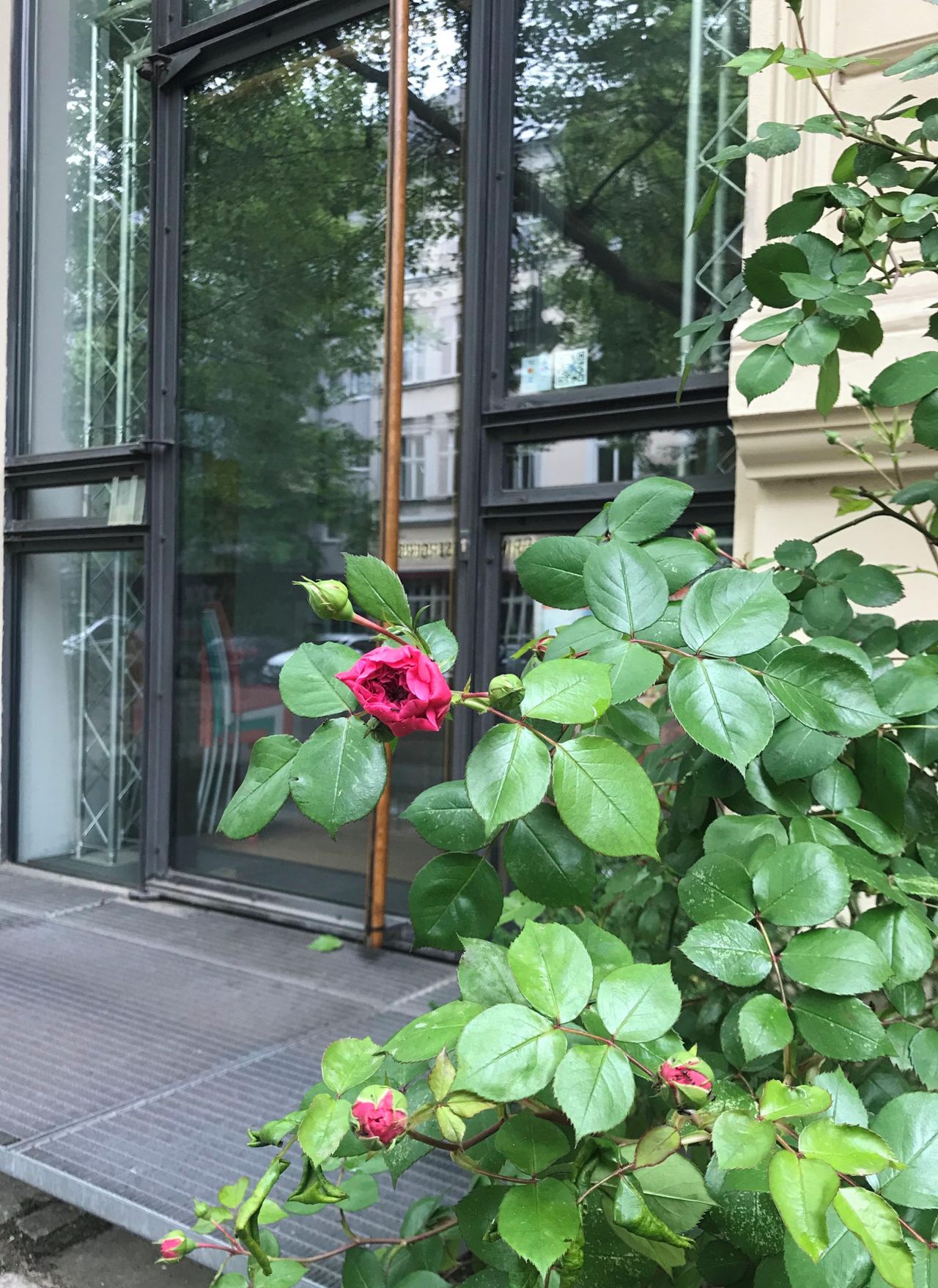 Berlin training rooms Galerie Galerie image 17