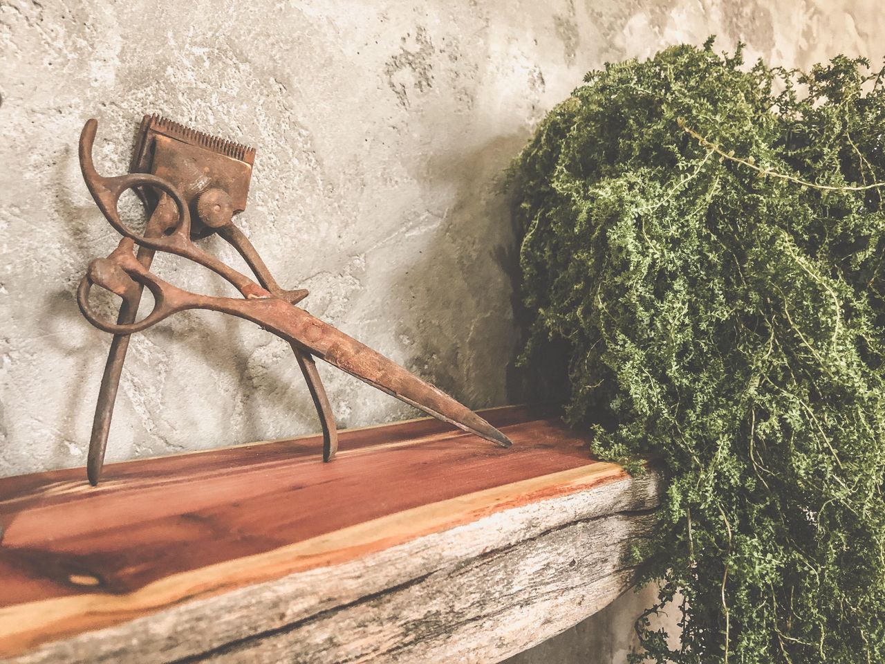 NYC training rooms Unusual venue Photo Studio image 17