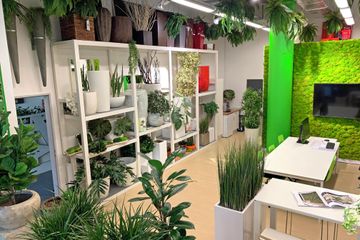 Hannover training rooms Grünfläche Grüner Indoor-Workplace image 5