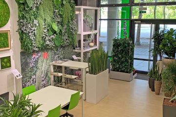 Hannover training rooms Grünfläche Grüner Indoor-Workplace image 2