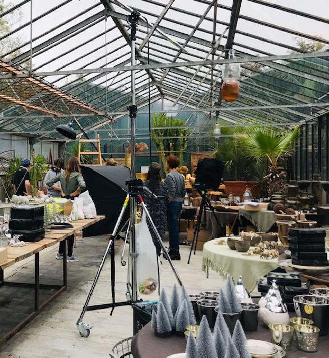 Stuttgart workshop spaces Unusual venue Botanical Space II image 5