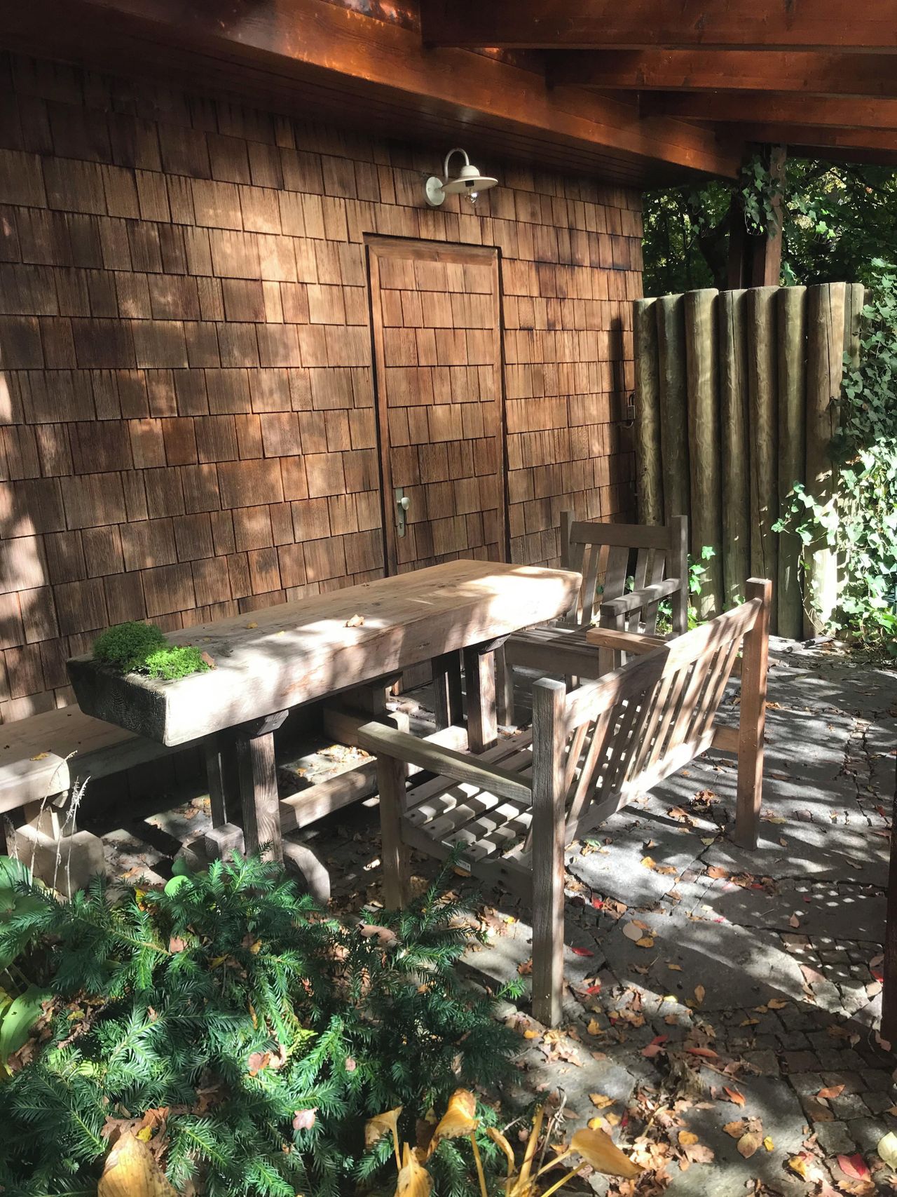 Stuttgart workshop spaces Unusual venue Botanical Space I image 5