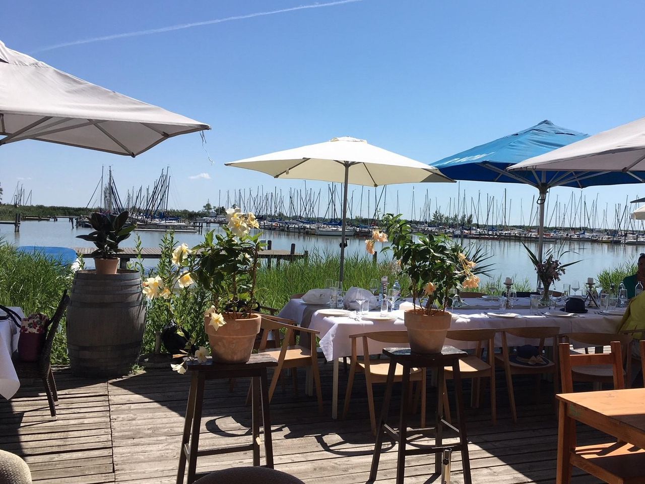 Soul Food Resort Die Seejungfrau mieten in Jois Soul Food Resort Die Seejungfrau mieten in Jois