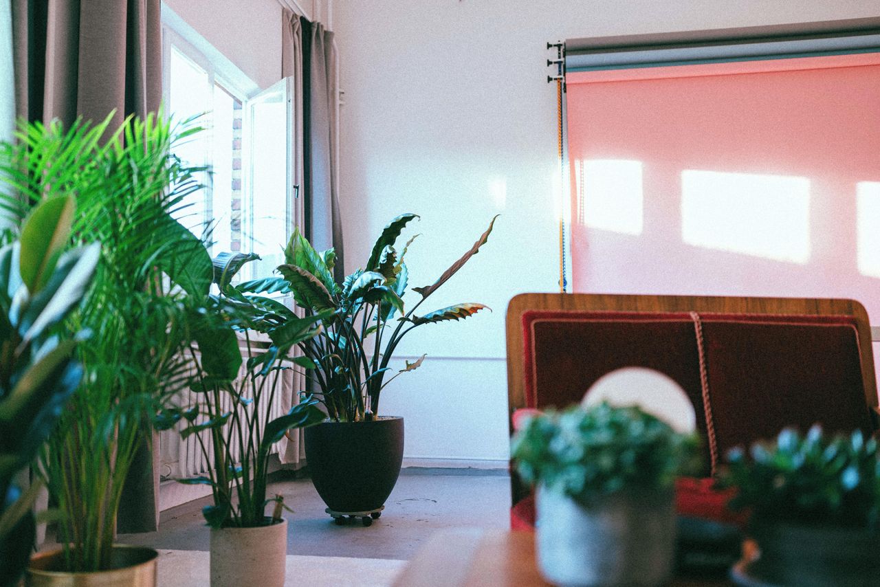 Berlin workshop spaces Foto Studio Studio image 4