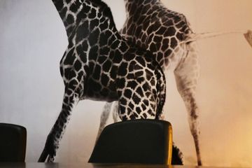 Paris training rooms Meetingraum Africa image 3