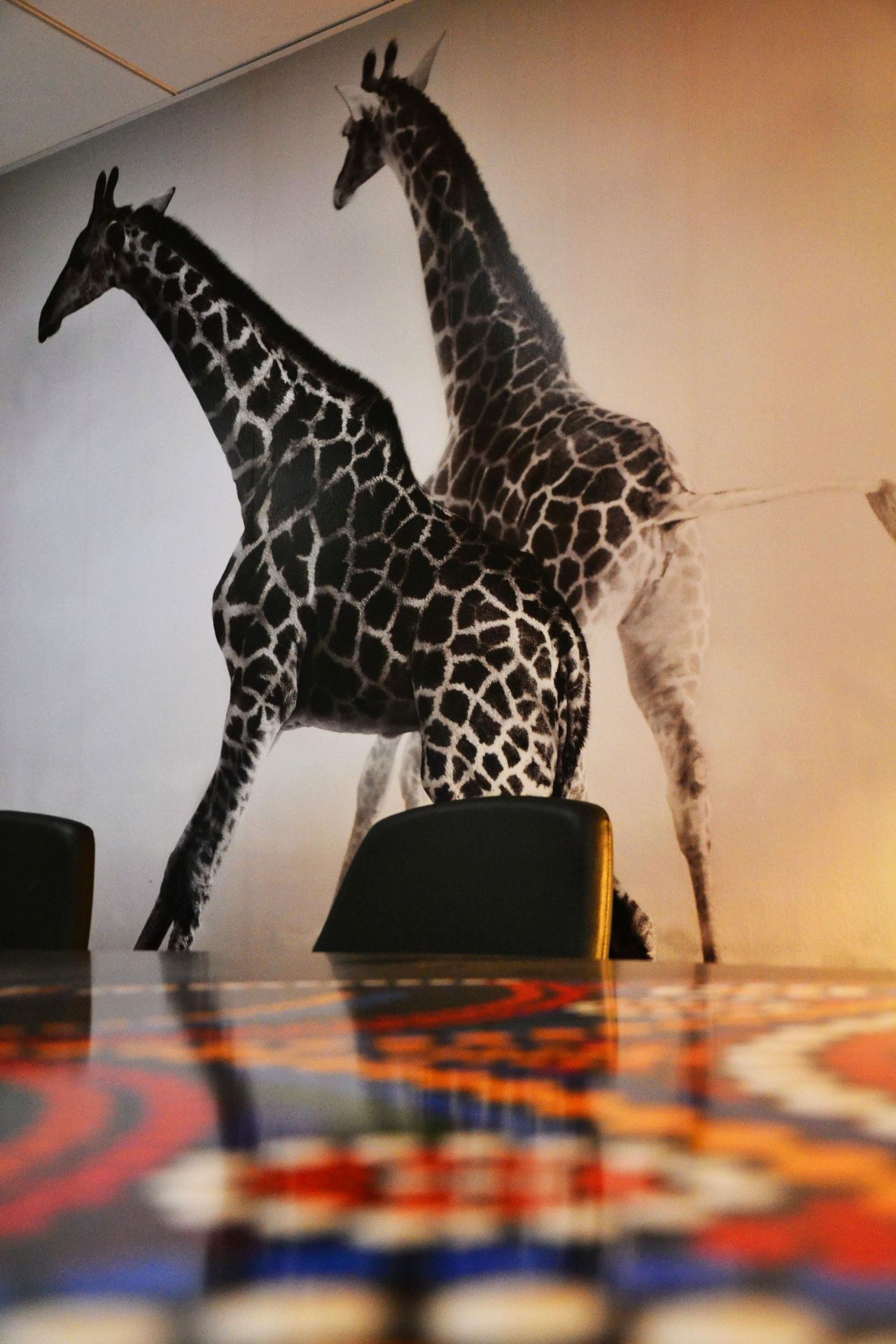 Paris training rooms Meeting room Africa image 3