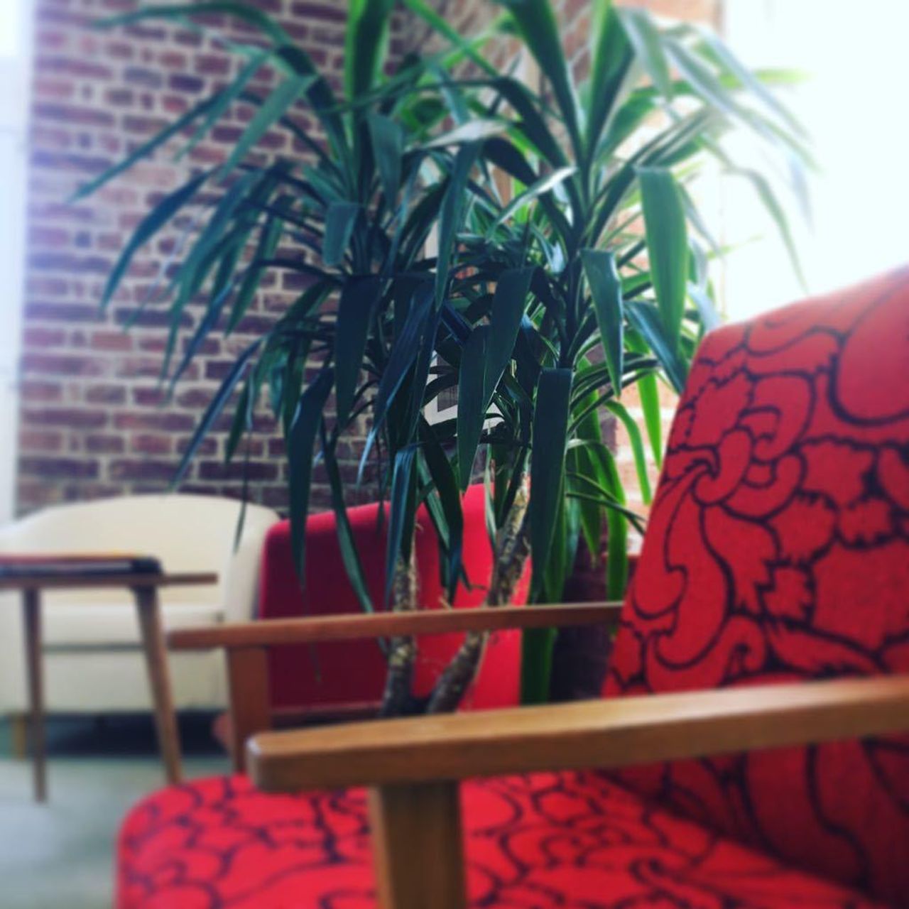 Vienna training rooms Atelier Atelier image 5