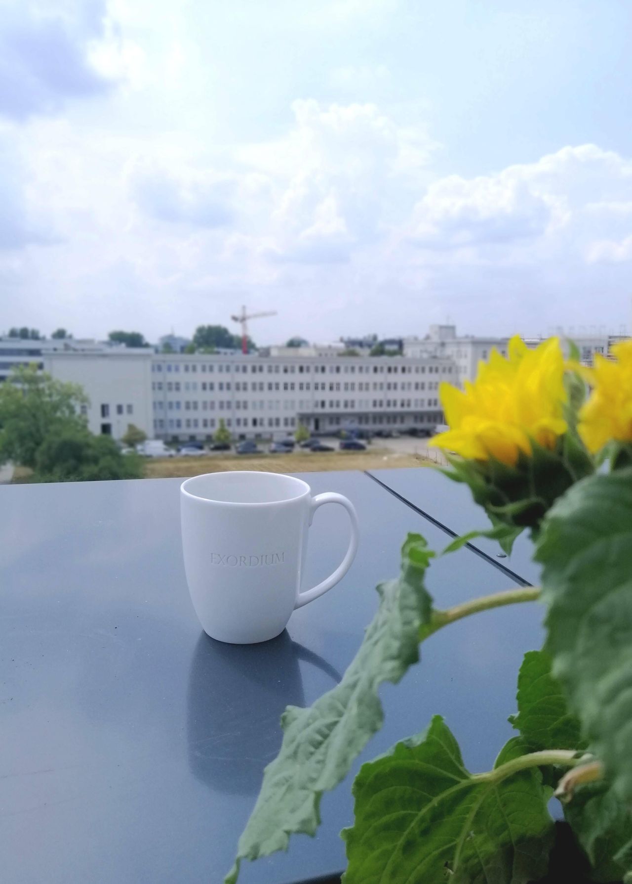 Berlin Schulungsräume Coworking Space CoworkingSpace image 8