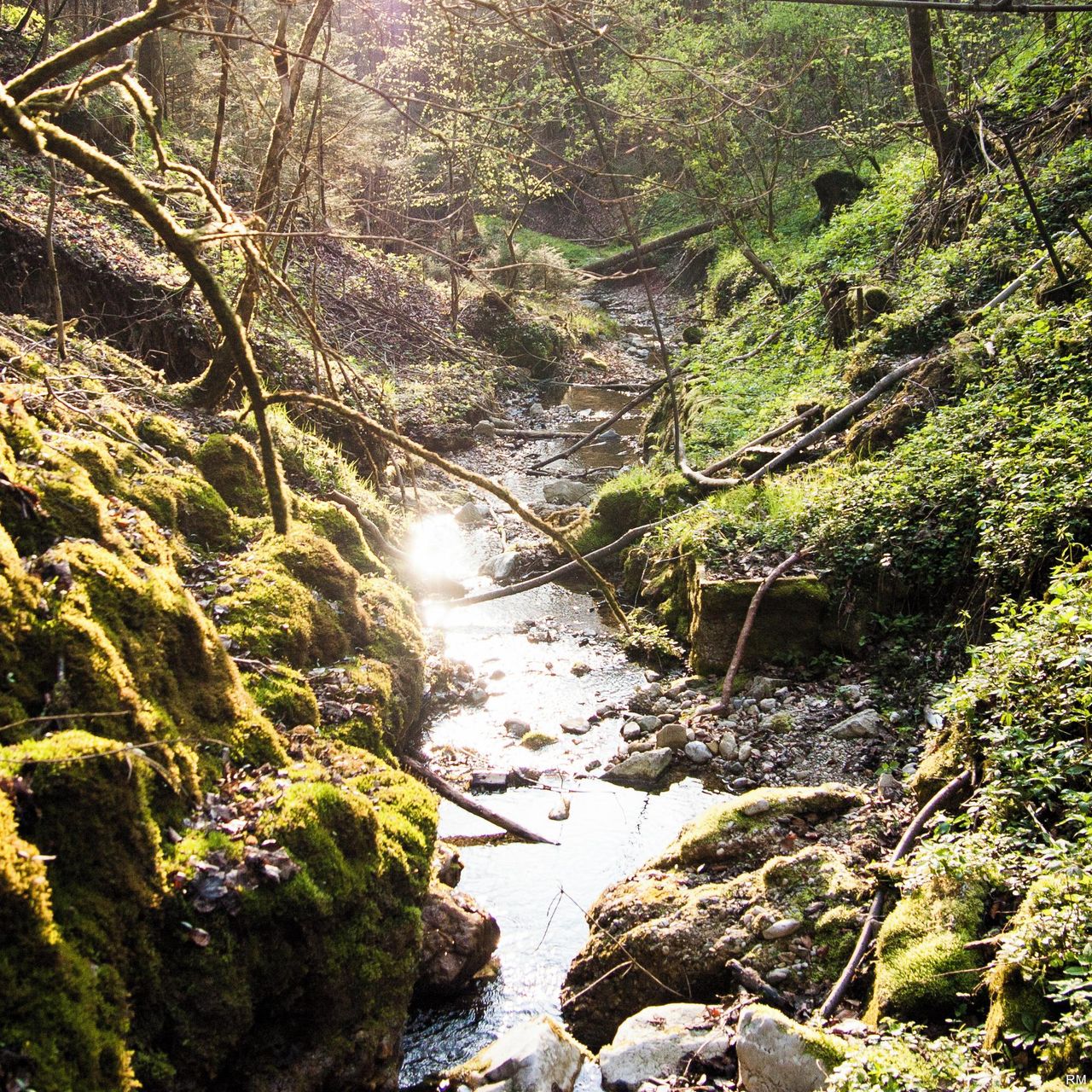 Rest der Welt training rooms Außergewöhnlich Almhütte image 21
