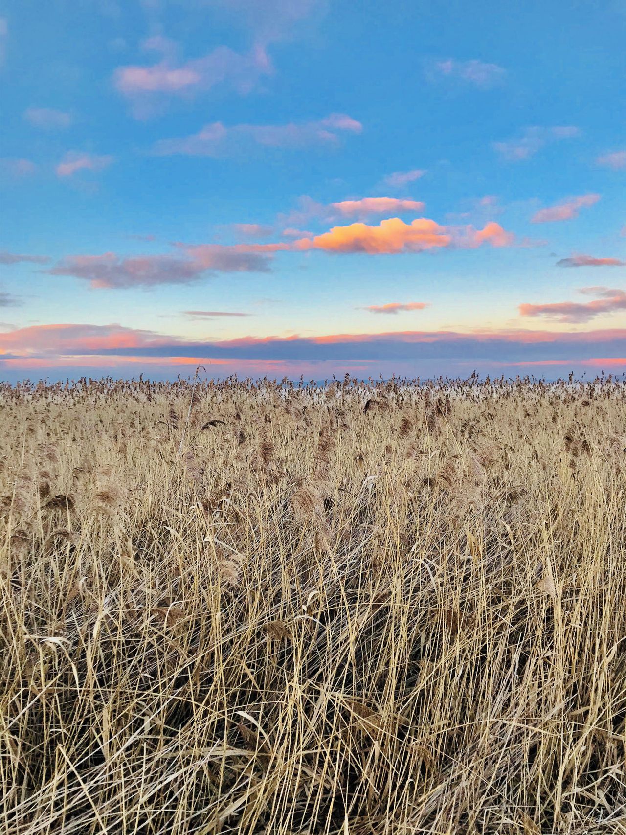 München training rooms Meetingraum Open Space image 41