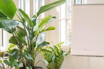 Leipzig Kreatives Meeting Bijzondere locatie URBN JUNGLE Eventarea image 0