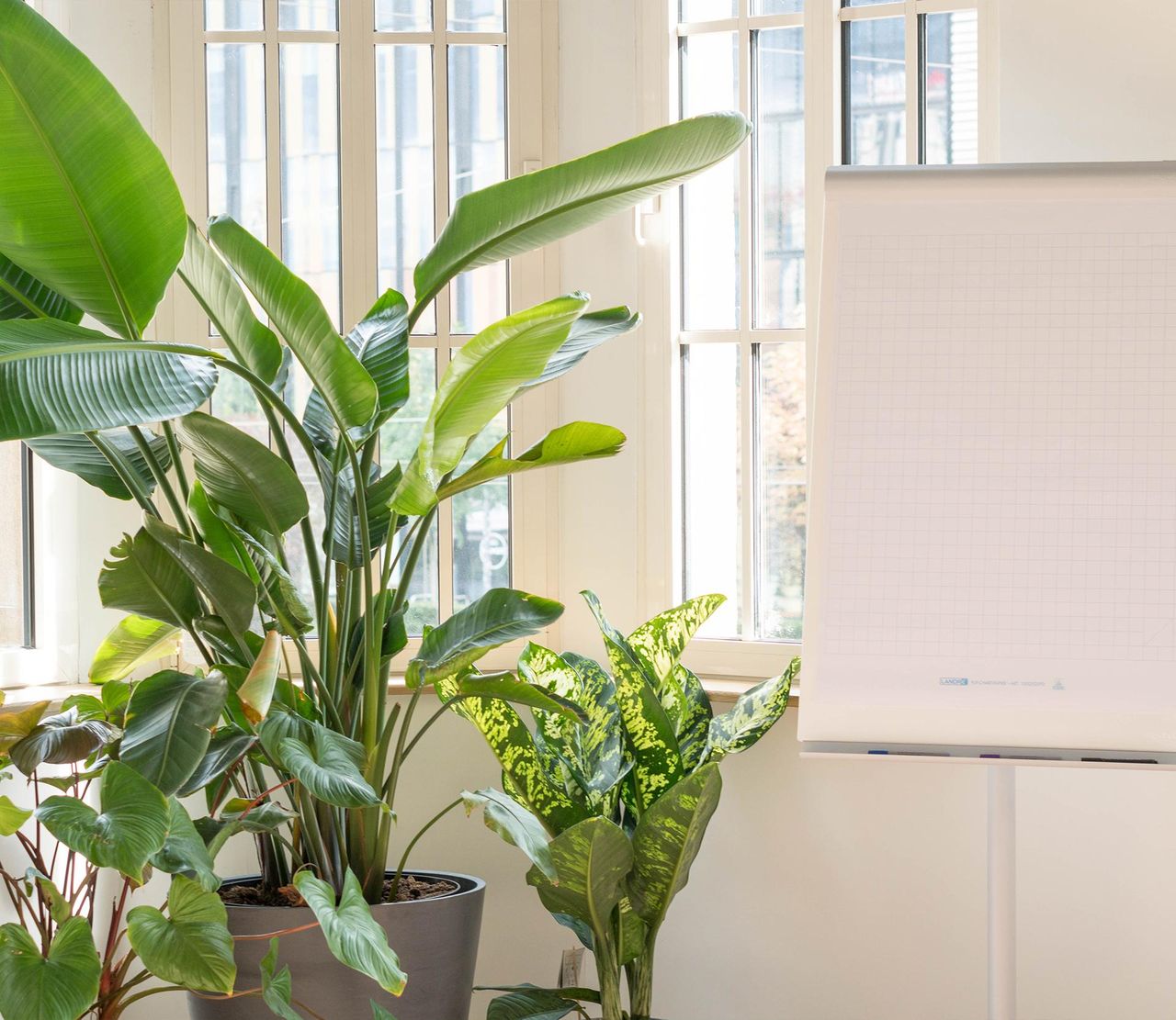 Leipzig Kreatives Meeting Außergewöhnliche Locations URBN JUNGLE Eventarea image 0