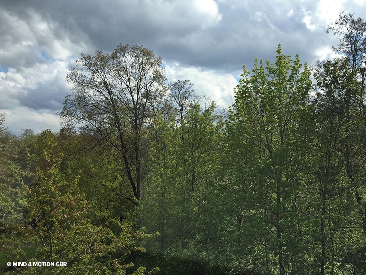 Stuttgart  Workshop  image 3