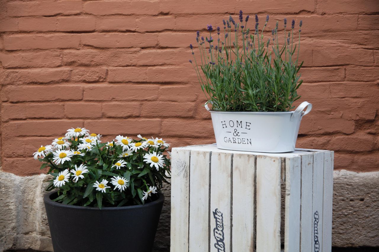 Stuttgart  Historic venue Paul'S Home image 9