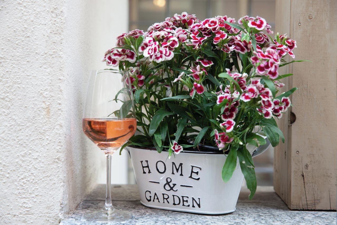 Stuttgart  Historic venue Paul'S Home image 6