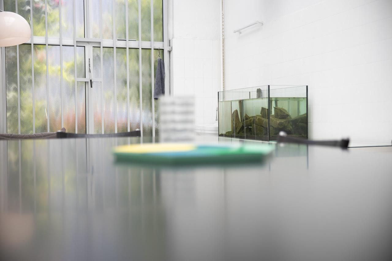 Cologne  Meeting room  image 15