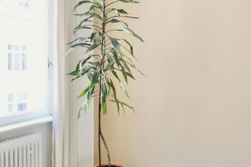 Berlin Sustainable space Loft Studio image 19