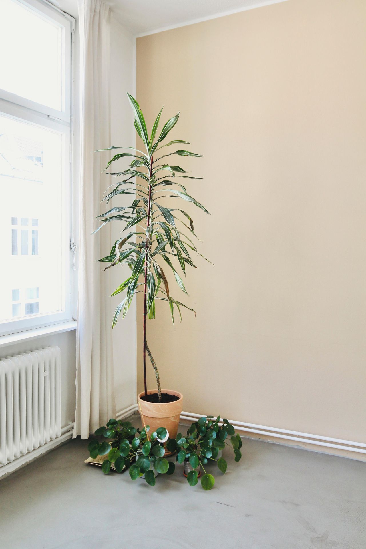 Berlin  Nachhaltiger Space Loft Studio image 19