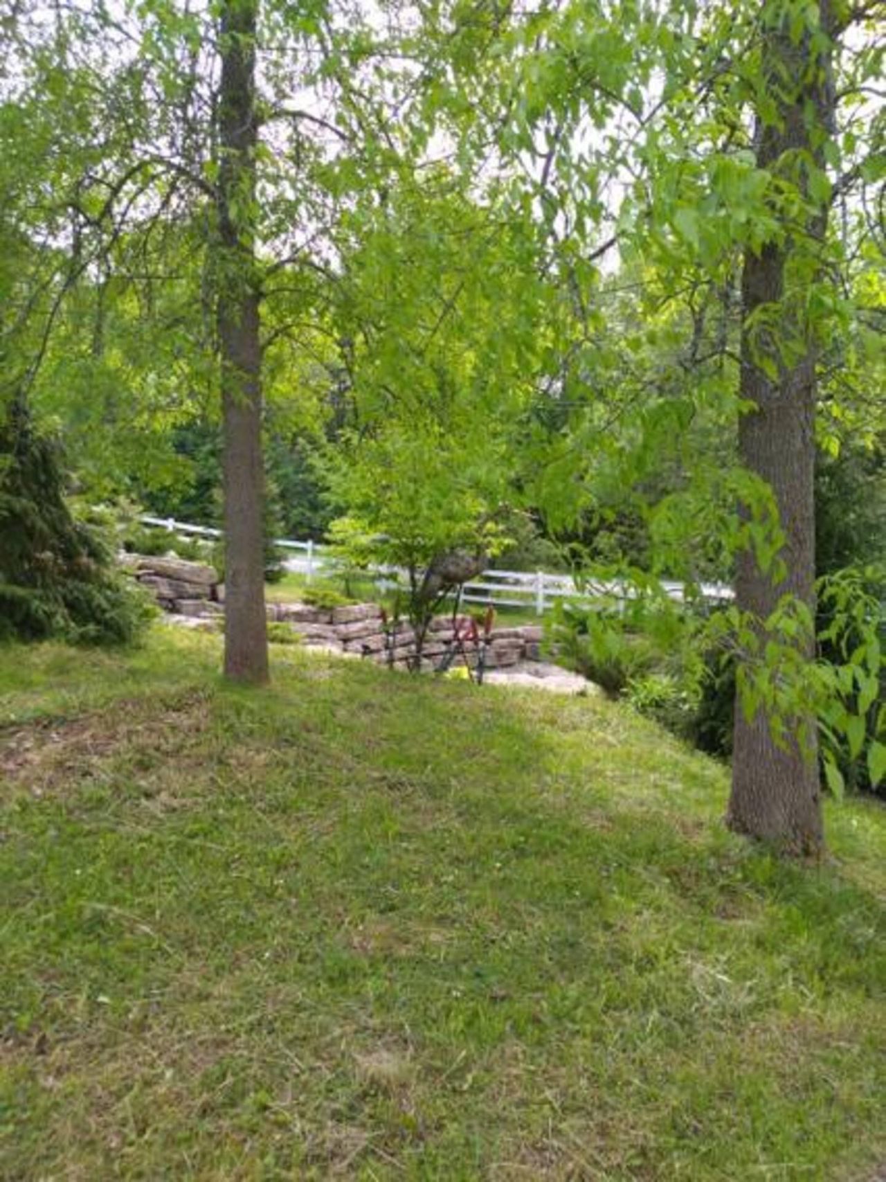 Rest of the World  Backyard Secret Luxy Barn in Orillia Ontario image 9