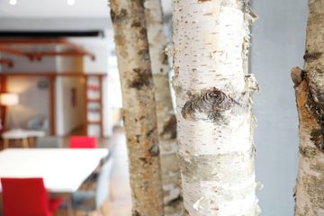 Munich  Loft meetLoft (LARGE) bis 6 Personen image 2