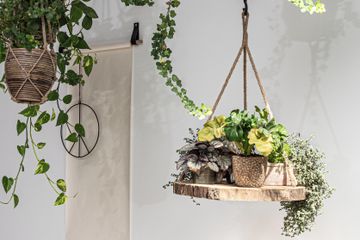 Rest of the World Trainingsruimtes Meeting room DeCreatie image 6