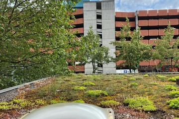 Zurich  showroom Showroom image 4