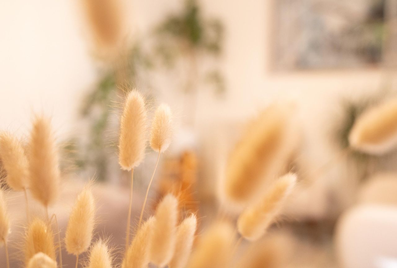 Stuttgart Mobiles Arbeiten Boardroom LEONHARDSZIMMER - Tagungslocation zum Wohlfühlen in Stgt. Miette image 26