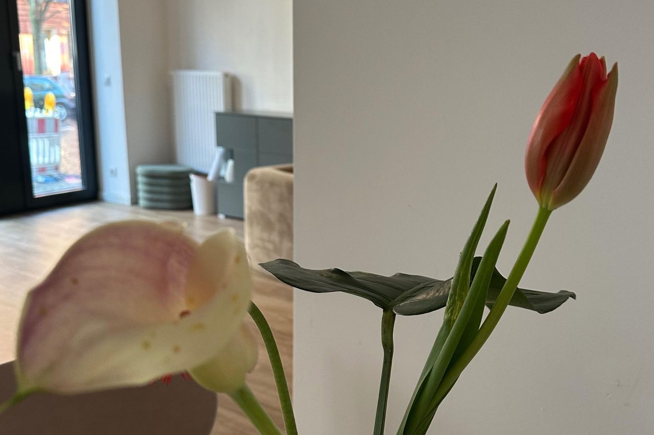 Berlin  Workshop-Raum The Gentle Way image 17