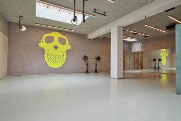 Amsterdam Studio Crazy Monkey Studio image 2