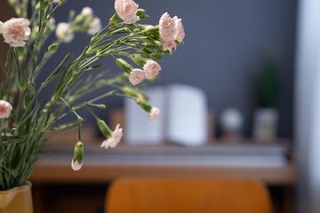 Stuttgart  Boardroom LEO II - Toller Seminar- und Coachingraum in Stuttgart Mitte image 3