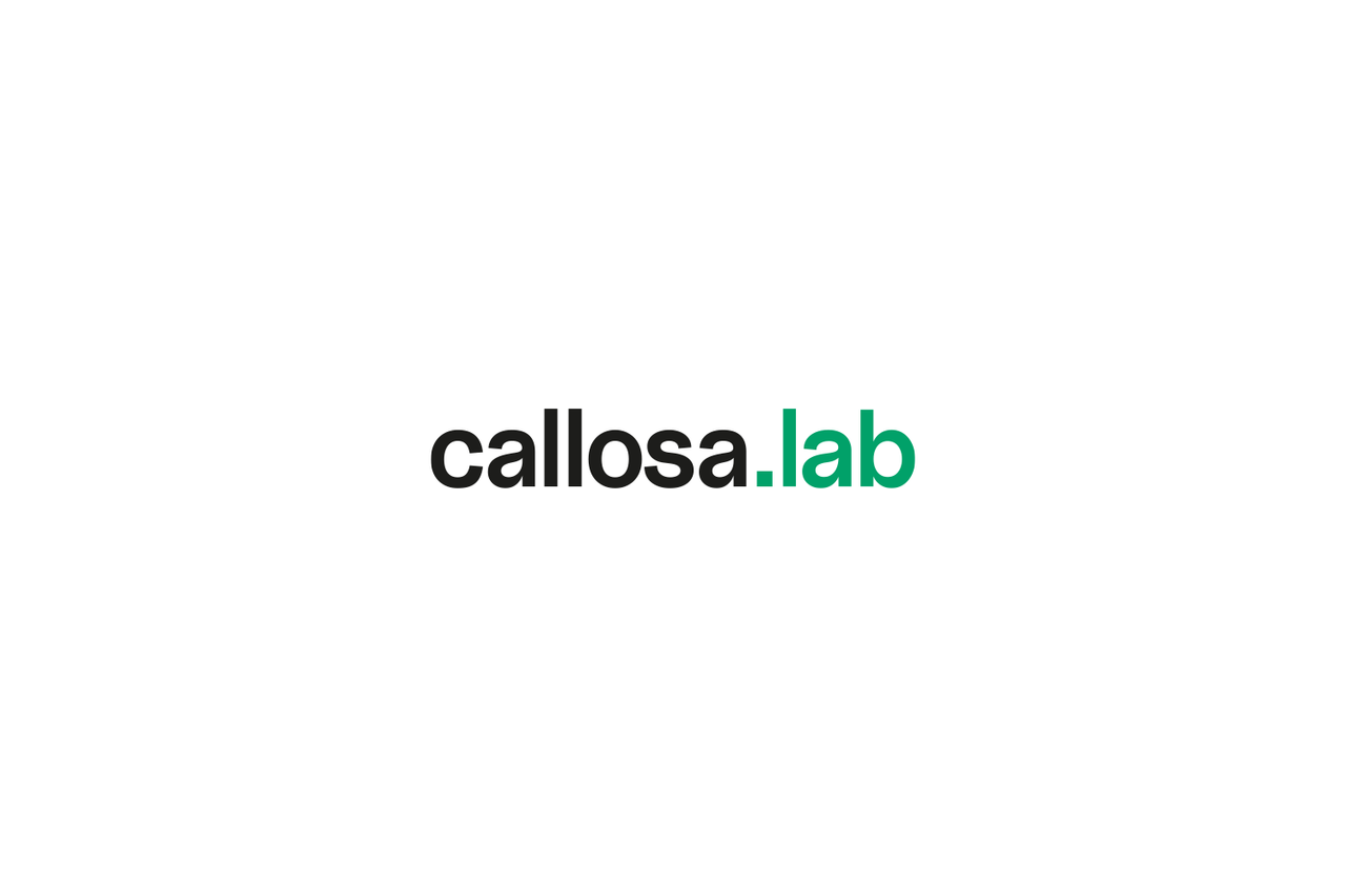 Braunschweig  Workshopruimtes callosa.lab image 4