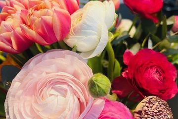 Berlin Kreatives Meeting Außergewöhnliche Locations Cozy Corner image 7