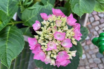 Berlin Kreatives Meeting Außergewöhnliche Locations Cozy Corner image 2