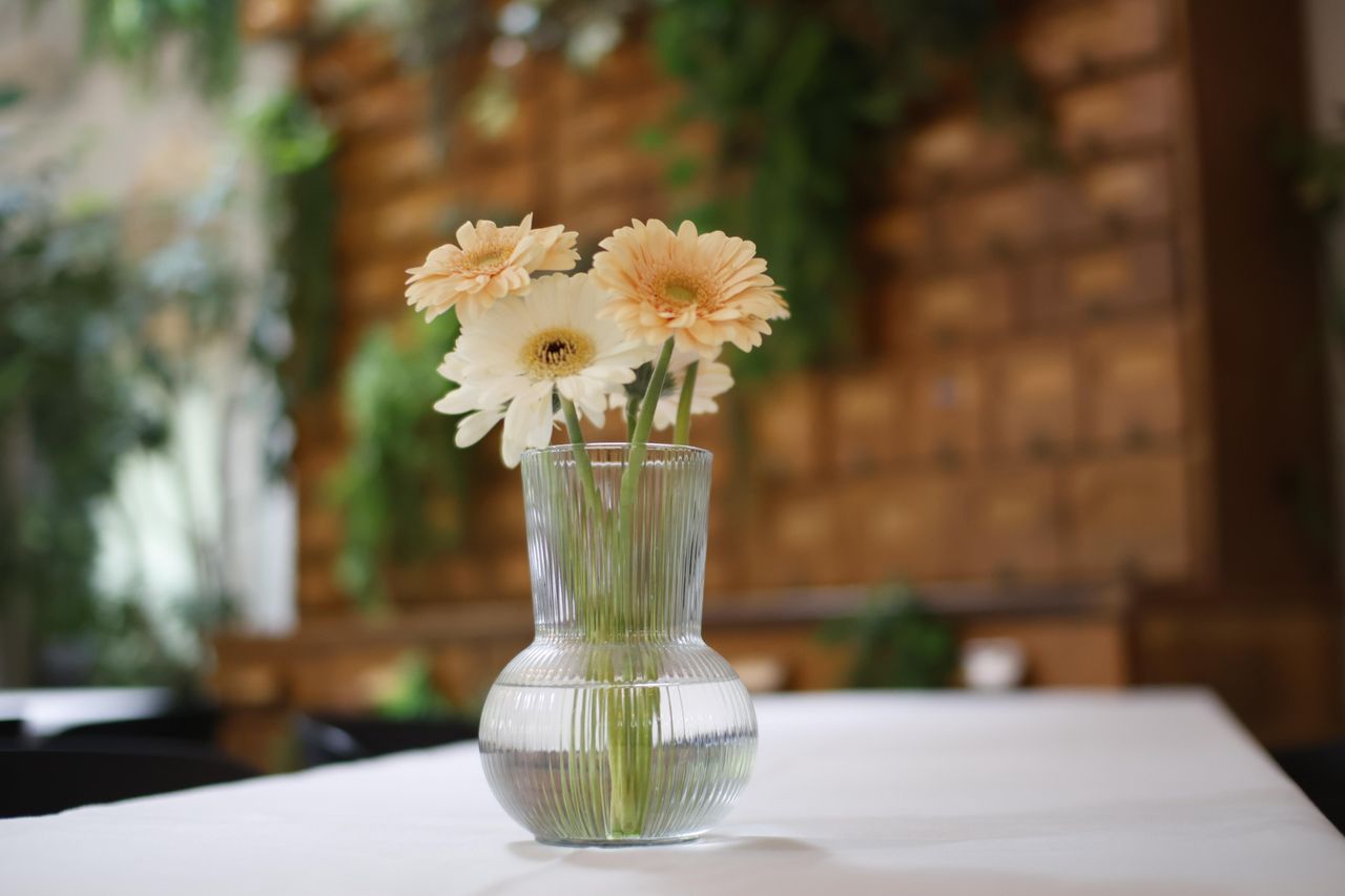 Hamburg  Corporate event spaces NORGERØM /ORANGERIE image 1