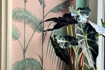 Rest der Welt Studio Showroom Studio Wolf image 1