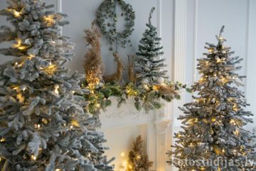 Riga Photostudio Photostudio 2 with cyclorama image 6