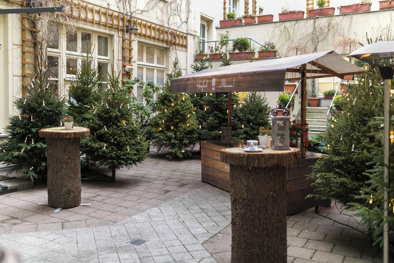 Berlin Geburtstag Restaurant Hofgarten des Restaurant ALvis image 2