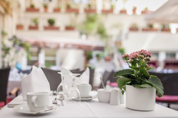 Berlin Geburtstag Restaurant Hofgarten des Restaurant ALvis image 1