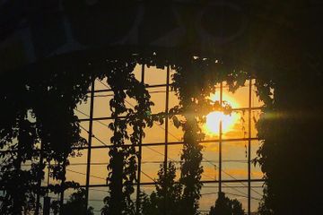 Berlin PR & Marketing Event Off-Location/Industriegebäude Treehouse Berlin image 7